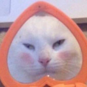 Meet your Posher, Tiddly